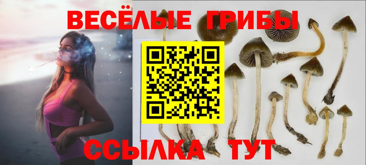 Галлюциногенные грибы ЛСД  Вход с VPN  Иваново 